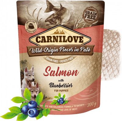 Carnilove salmon with Blueberries for Puppies 300g (wet food pouches)