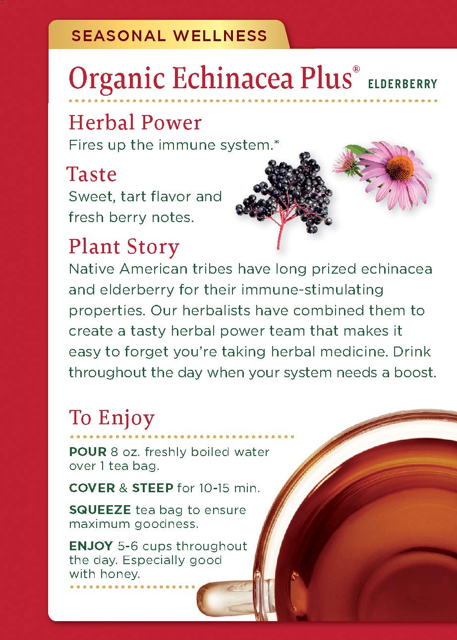 Traditional Medicinals Teas Organic Echinacea Plus Elderberry Tea, Elder 16 Bags (Pack Of 1)