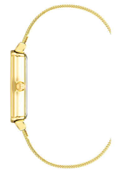 Anne Klein Ladies Watch AK4170CHGB