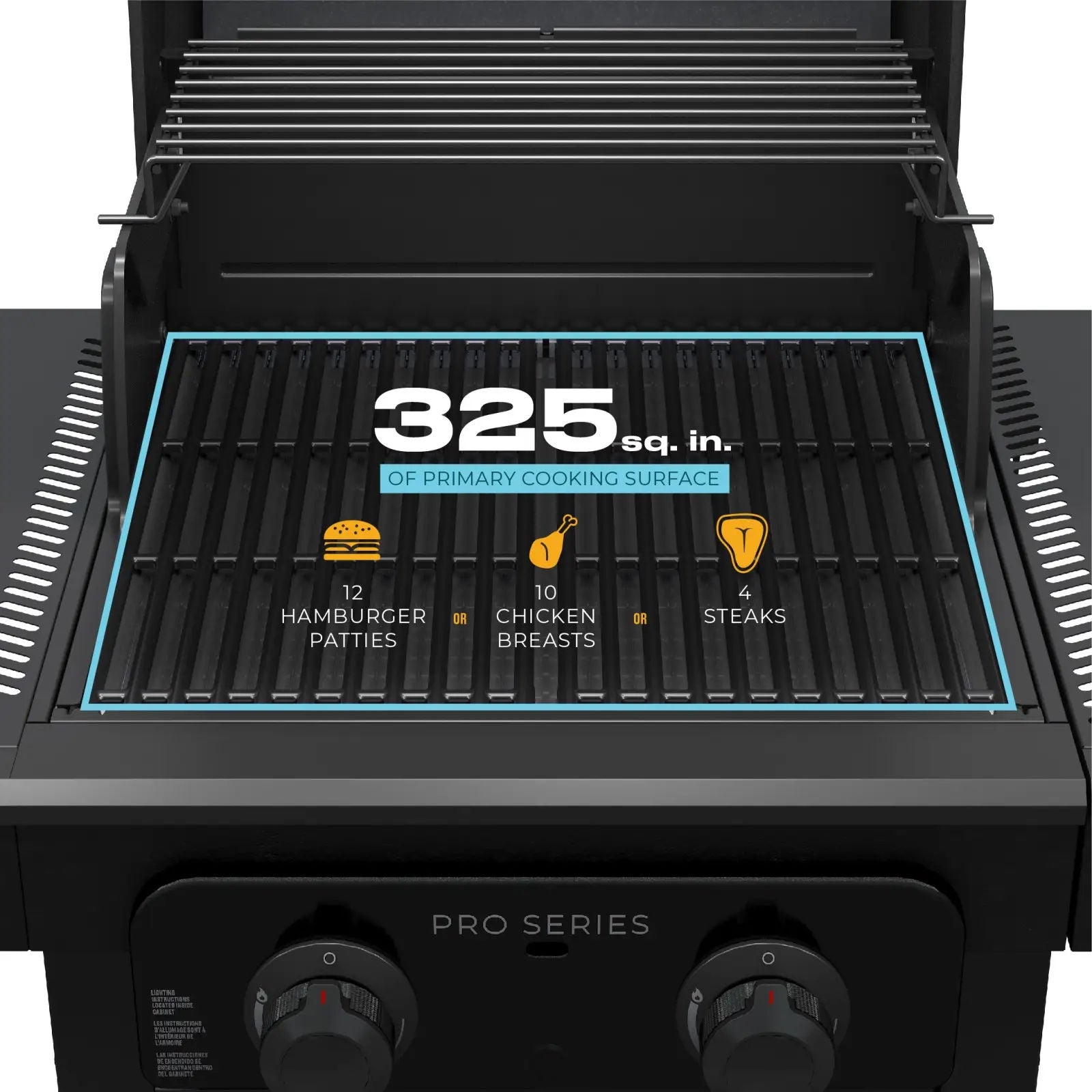 Char-Broil Pro Series 2-Burner Gas Grill, Model 463676724