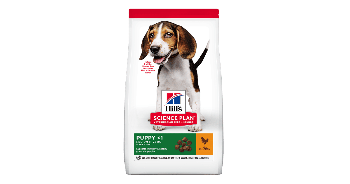 Medium Puppy Food with Chicken