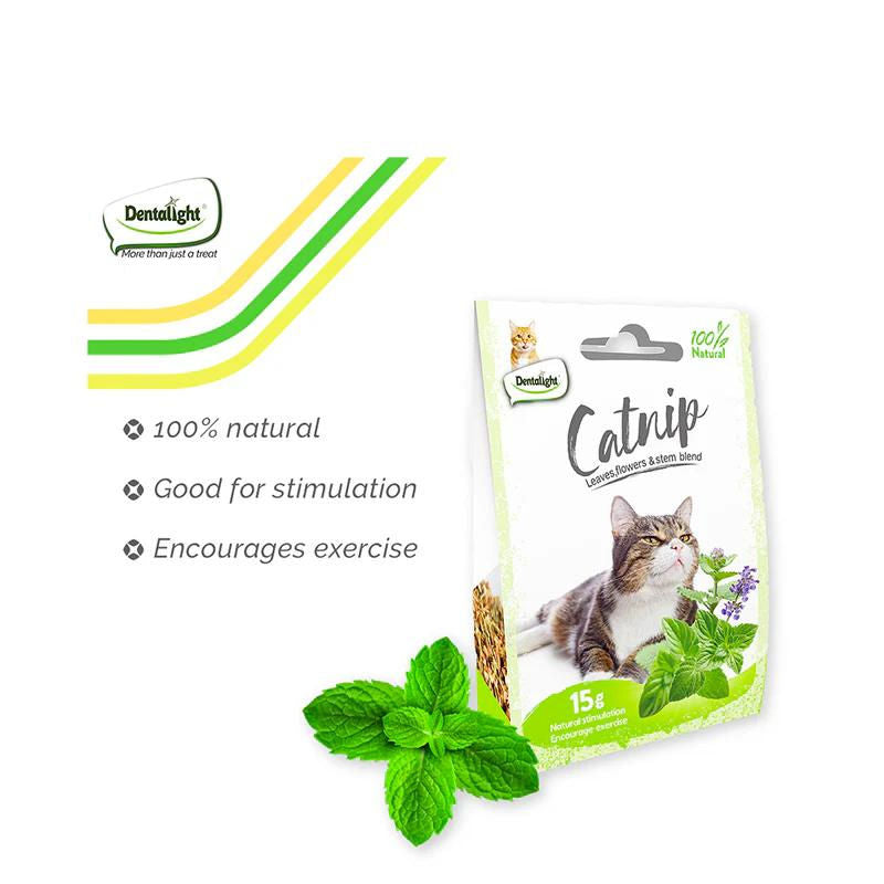 Dentalight Natural Catnip, 15gm
