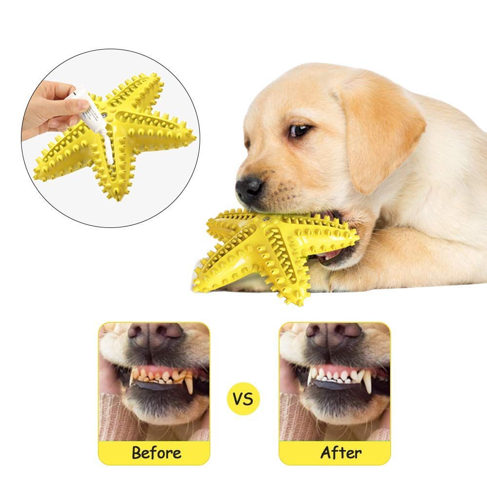 Dog Chew Toy Toothbrushes Starfish Squeaky Molar