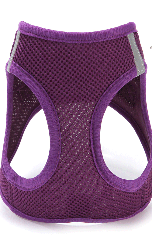 Dog Harness Adjustable Mesh Dog Vest Harness With Leash Set Pet Leash For Small Pets