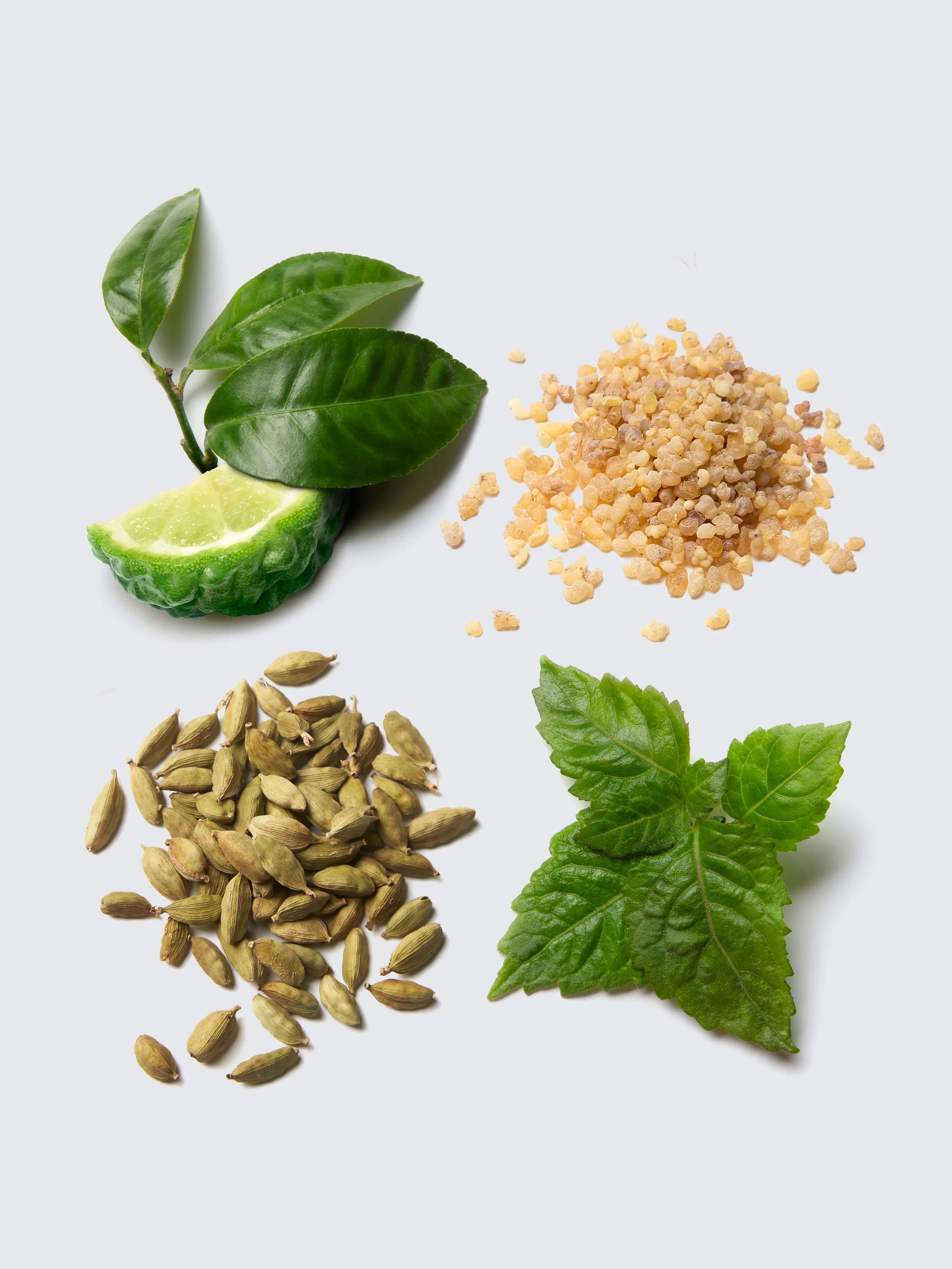 Essentiel Eau de Parfum 100ml + Shower Gel 150ml