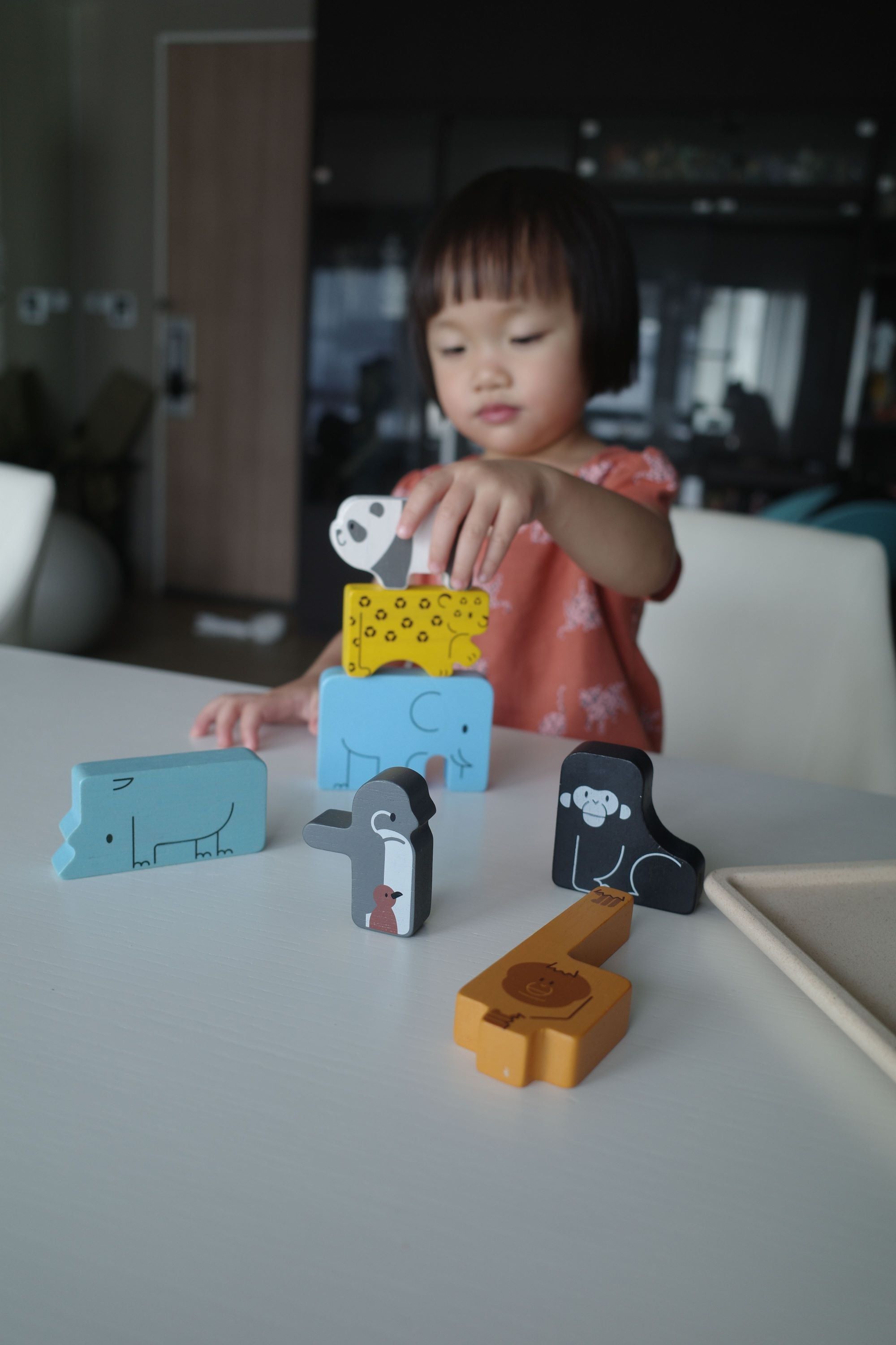 Animal Puzzle Game