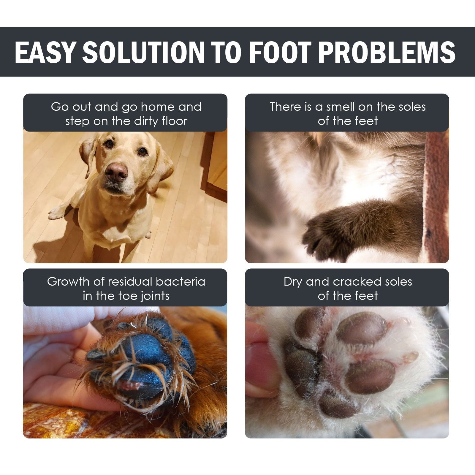 Claw Cleaner for Pets, Gentle Paw Wash, Bacteria & Toxin Removal, Dog Cat Foot Care ,100ml