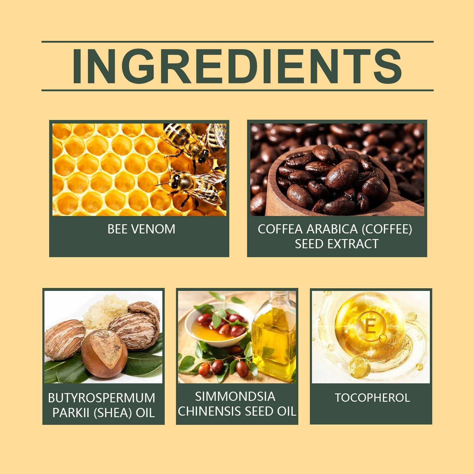 Revitalize Your Skin with Bee Venom Anti-Wrinkle Cream, Firming and Moisturizing ,50g