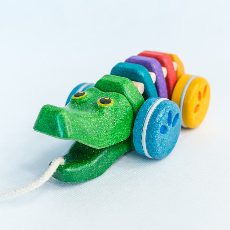 Alligator
