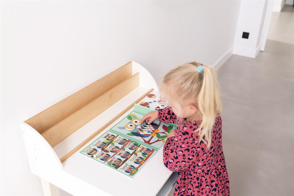 Colours & Shapes/Owl Magnetic