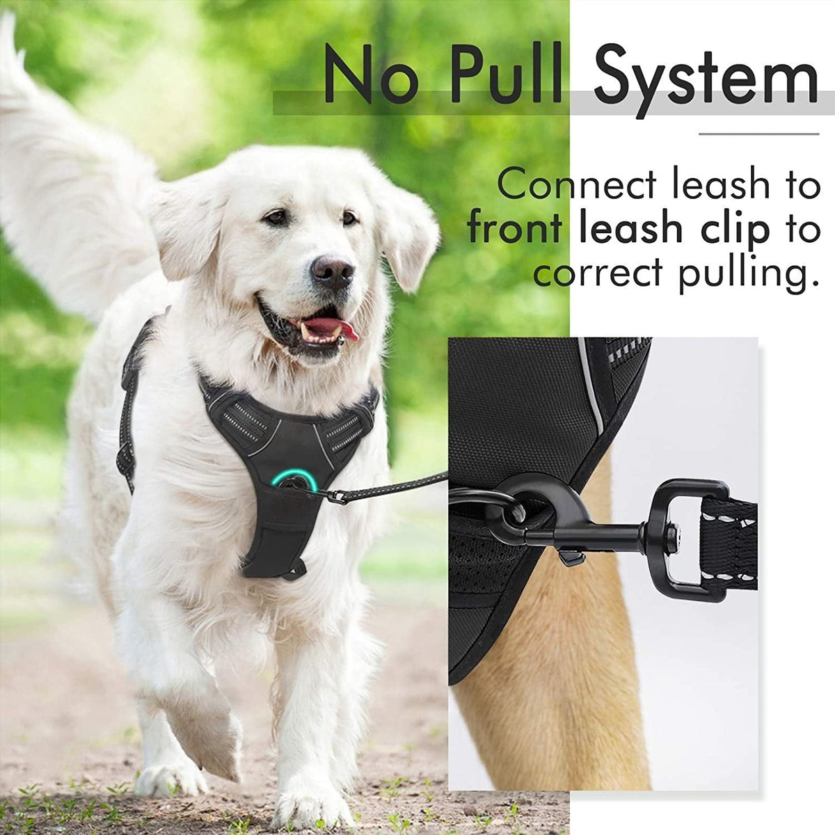 Dog Harness No Pull Pet Harness with 2 Leash Clips Adjustable Soft Padded Dog Vest