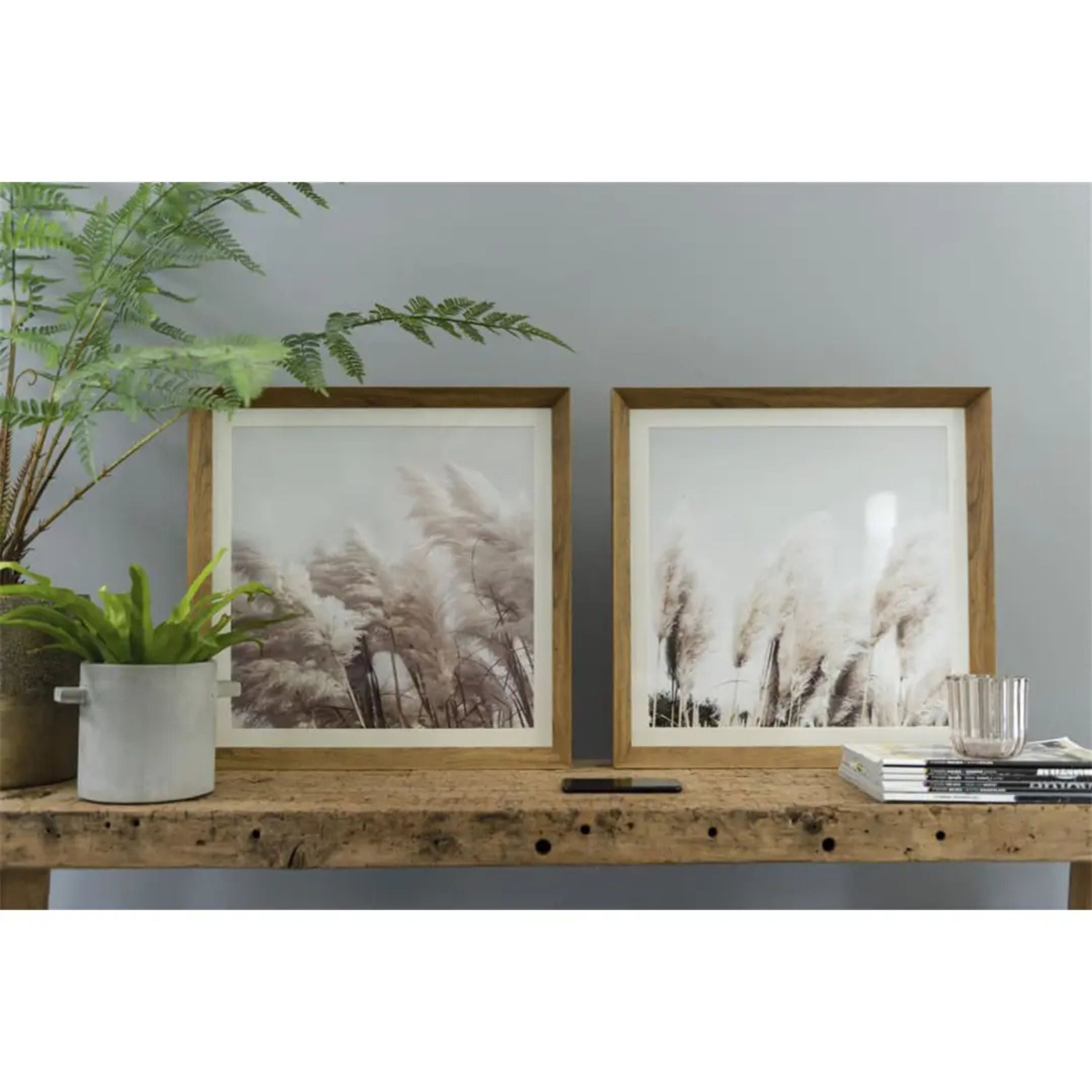 Painting Pampas Set of 2
