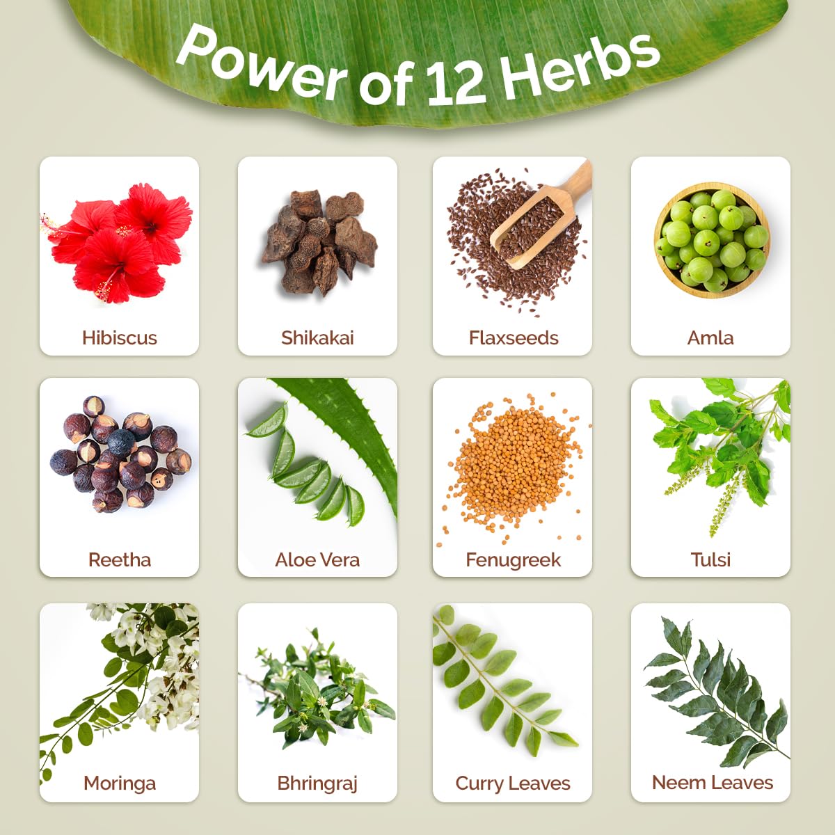 شامبو Mamaearth Kerala Thaali 250 مل