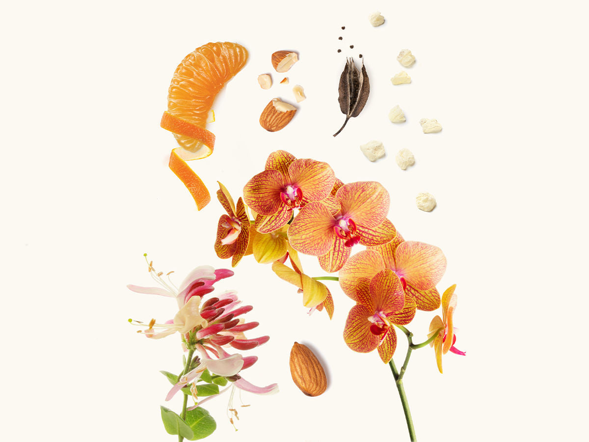 Almond Eau de Parfum 100ml