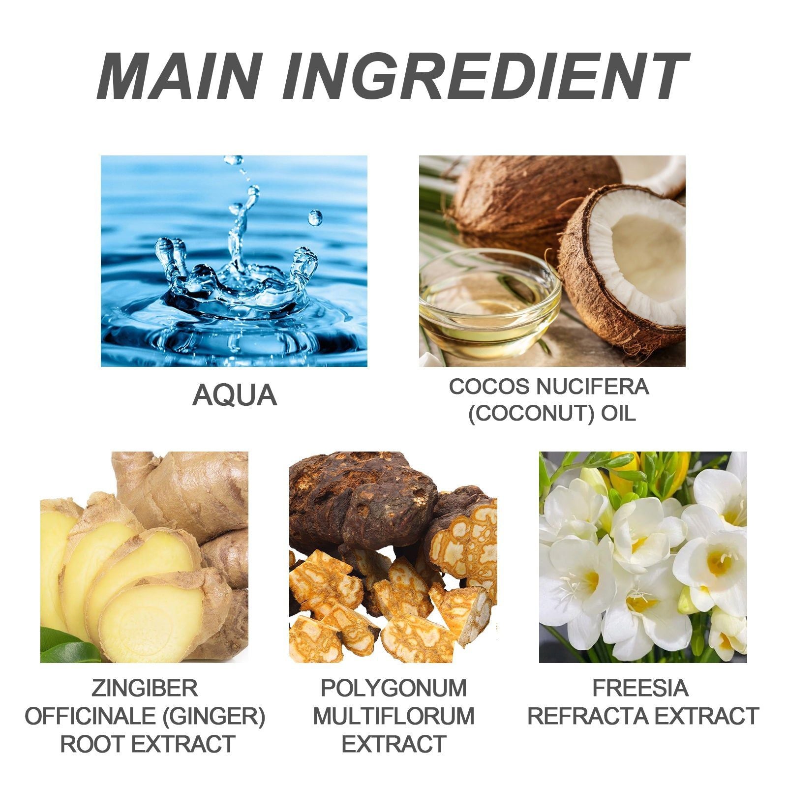 Coconut Oil Anti-Dandruff Shampoo, Moisturize Scalp, Nourish Hair, Remove Dandruff ,100ml