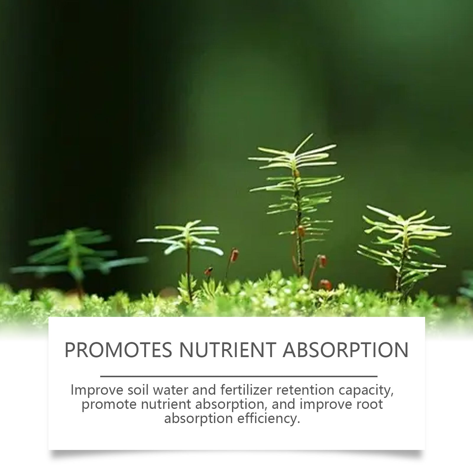 Boost Plant Nutrition Soil Activator, Improve Growth, Enhance Yield, Easy Garden Care ,100g