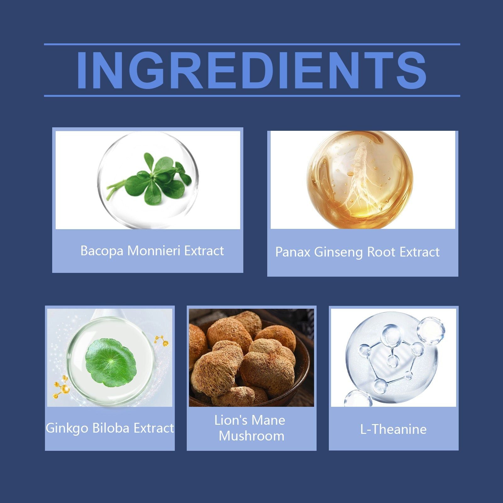 Boost Brain Power with Ginseng Ginkgo Drops, Enhance Focus, Relieve Fatigue ,30ml