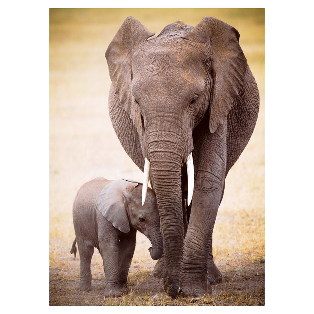 Elephant & Baby 300 Pieces Puzzle