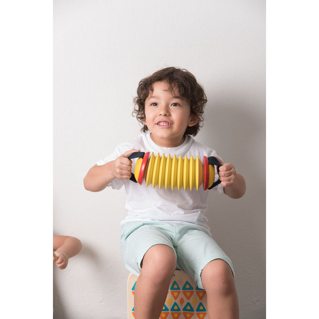 PlanToys Concertina