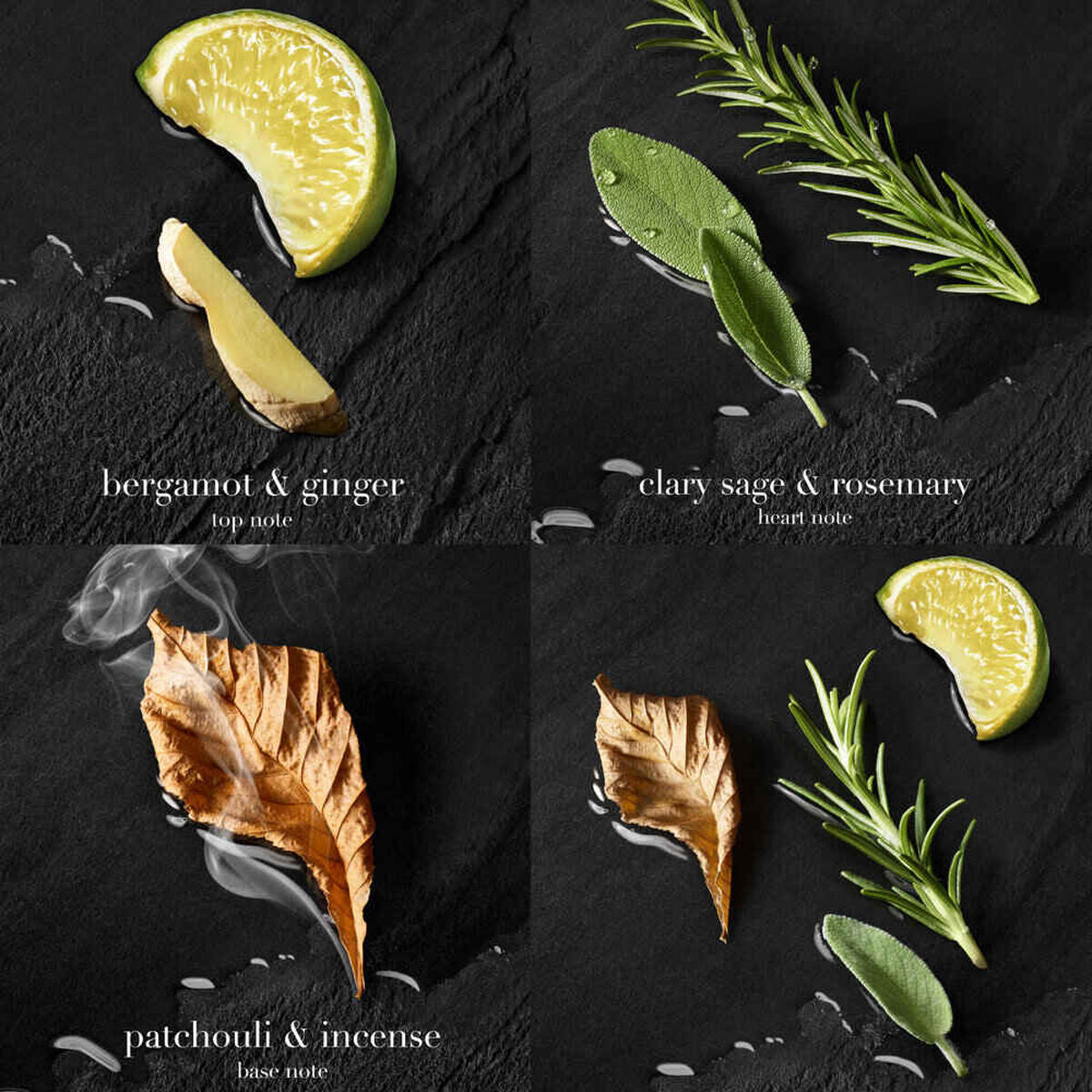 عطر أكوا دي جيو