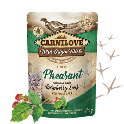 Carnilove cat pouch rich in Pheasant enriched with Raspberry Leaves 85 g