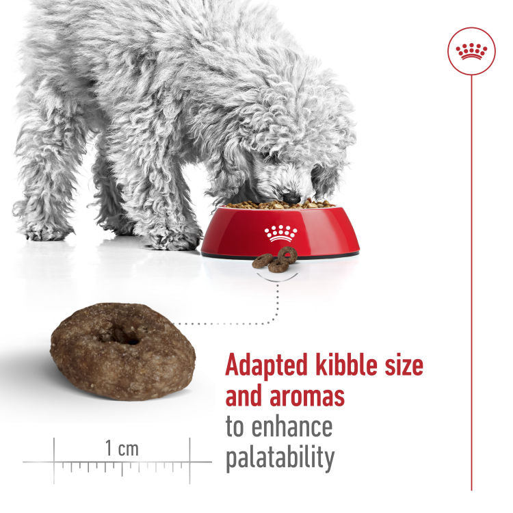 Royal Canin Size Health Nutrition Mini Ageing 12+( 1.5 KG)