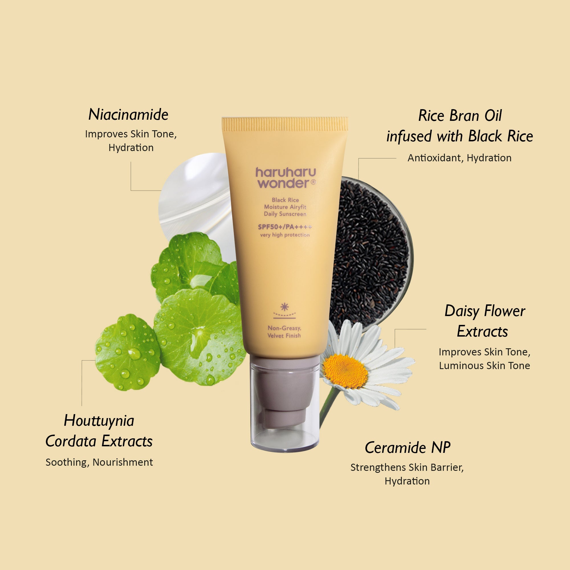 Haruharu Wonder Black Rice Moisture Airyfit Daily Sunscreen SPF50+ PA++++