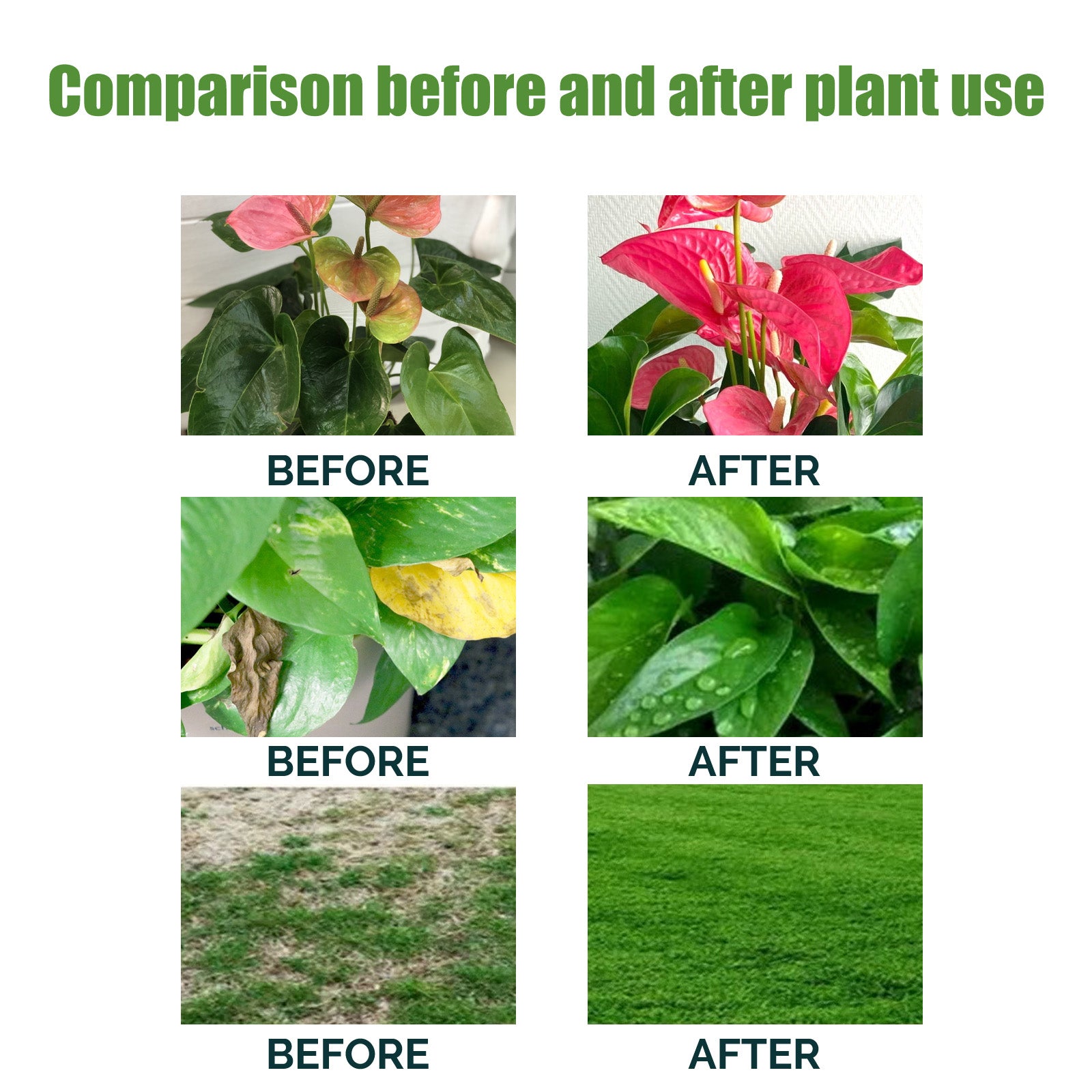 Boost Plant Growth with Nutrient Implant Solution, Garden Fertilizer for Healthy Blooms ,120ml