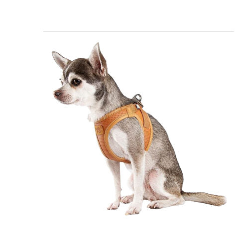 حزام كيرلي المصنوع من الجلد النباتي للكلاب - مقاس صغير