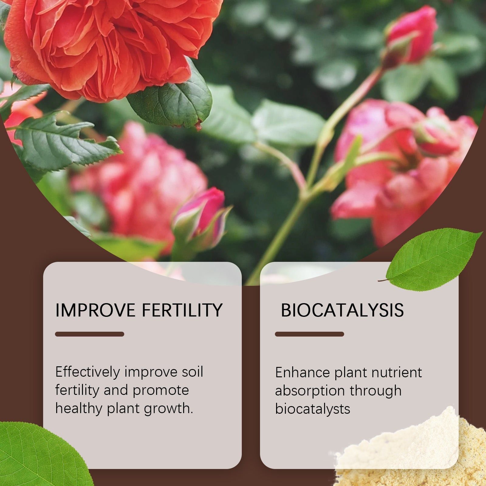 Boost Plant Nutrients Organic Biocatalyst, Soil Fertility, Healthy Growth, Easy Use ,100g