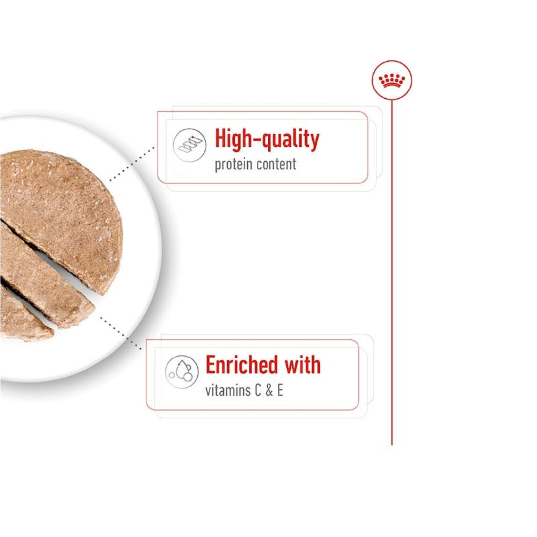 Royal Canin Medium Adult Loaf Wet Dog Food, 410gm, Pack of 12