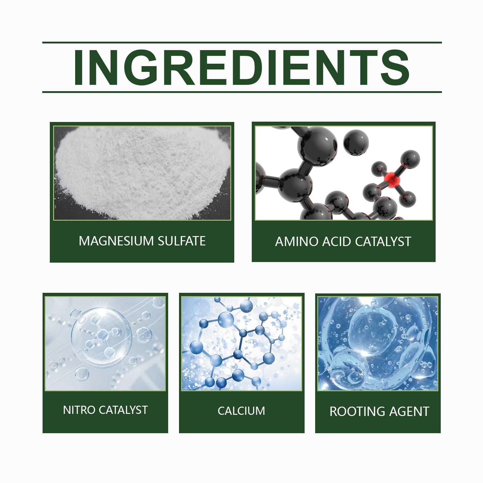 Boost Plant Growth with Nutrient Powder, Soil Conditioner, Easy to Use ,100g