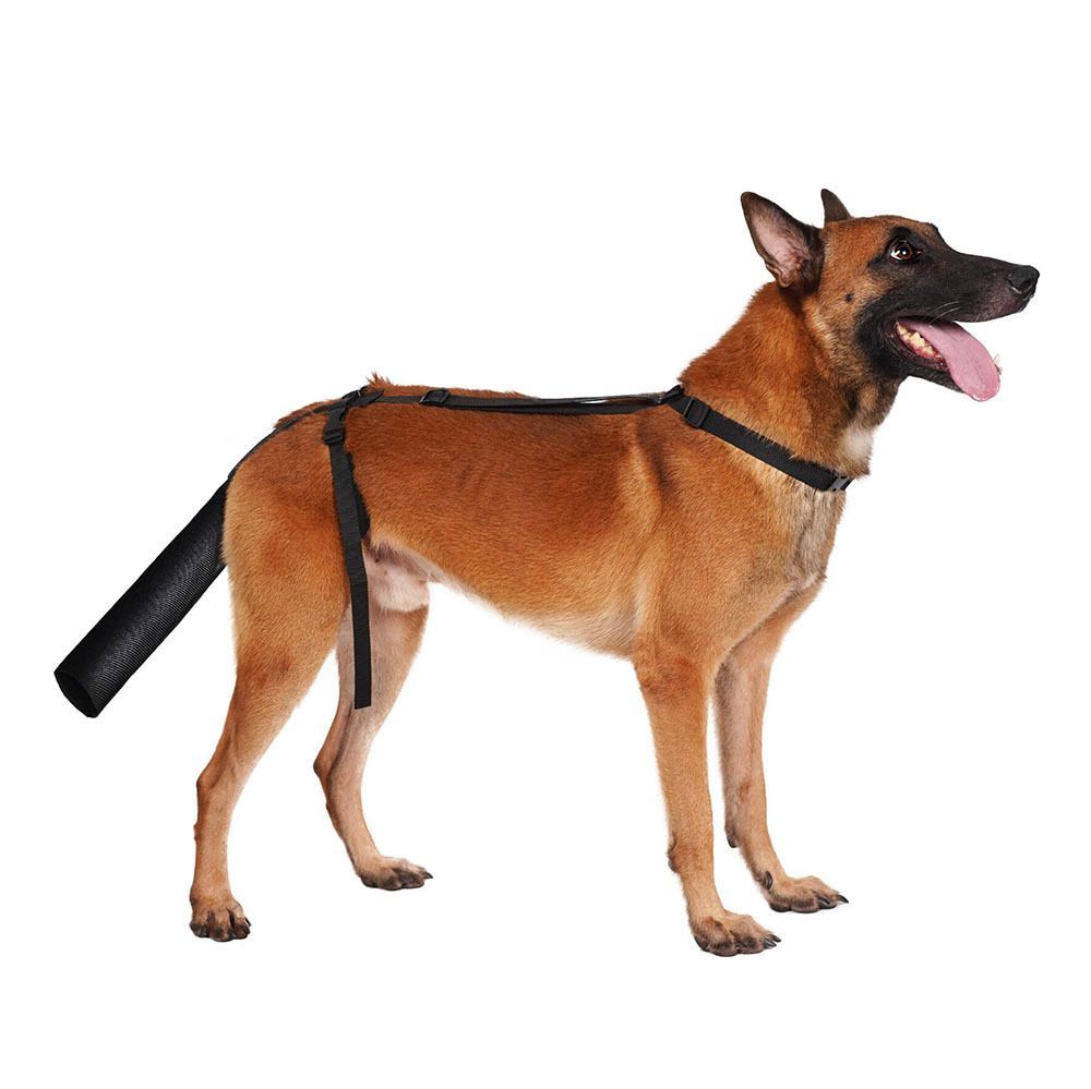 Pet Dog Tail Protector Skin Protection Protect Suit Pet Dog Tail Protective Cover