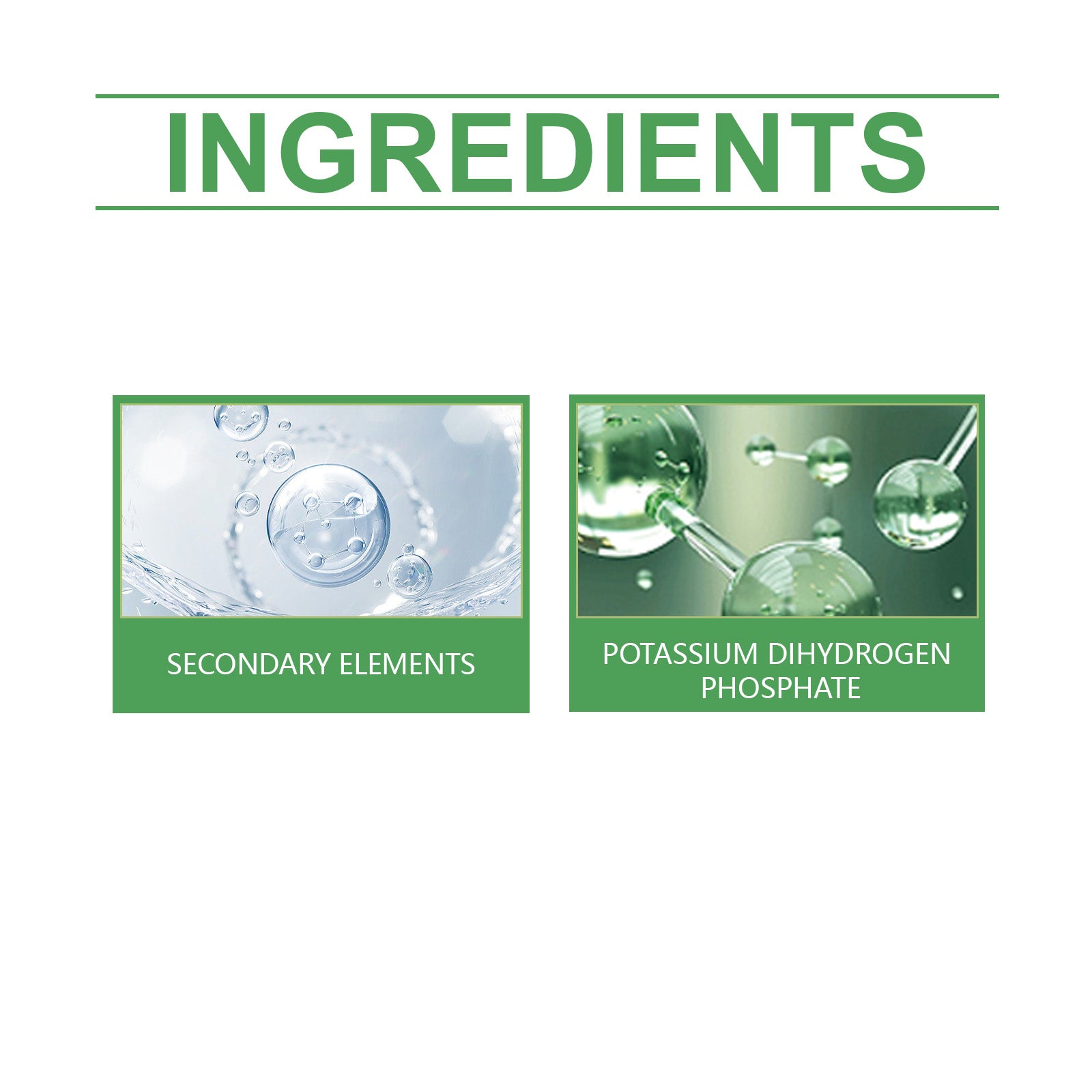 Boost Plant Growth with Horticultural Nutrition Root Powder, Easy Foliar & Drip Application ,100g