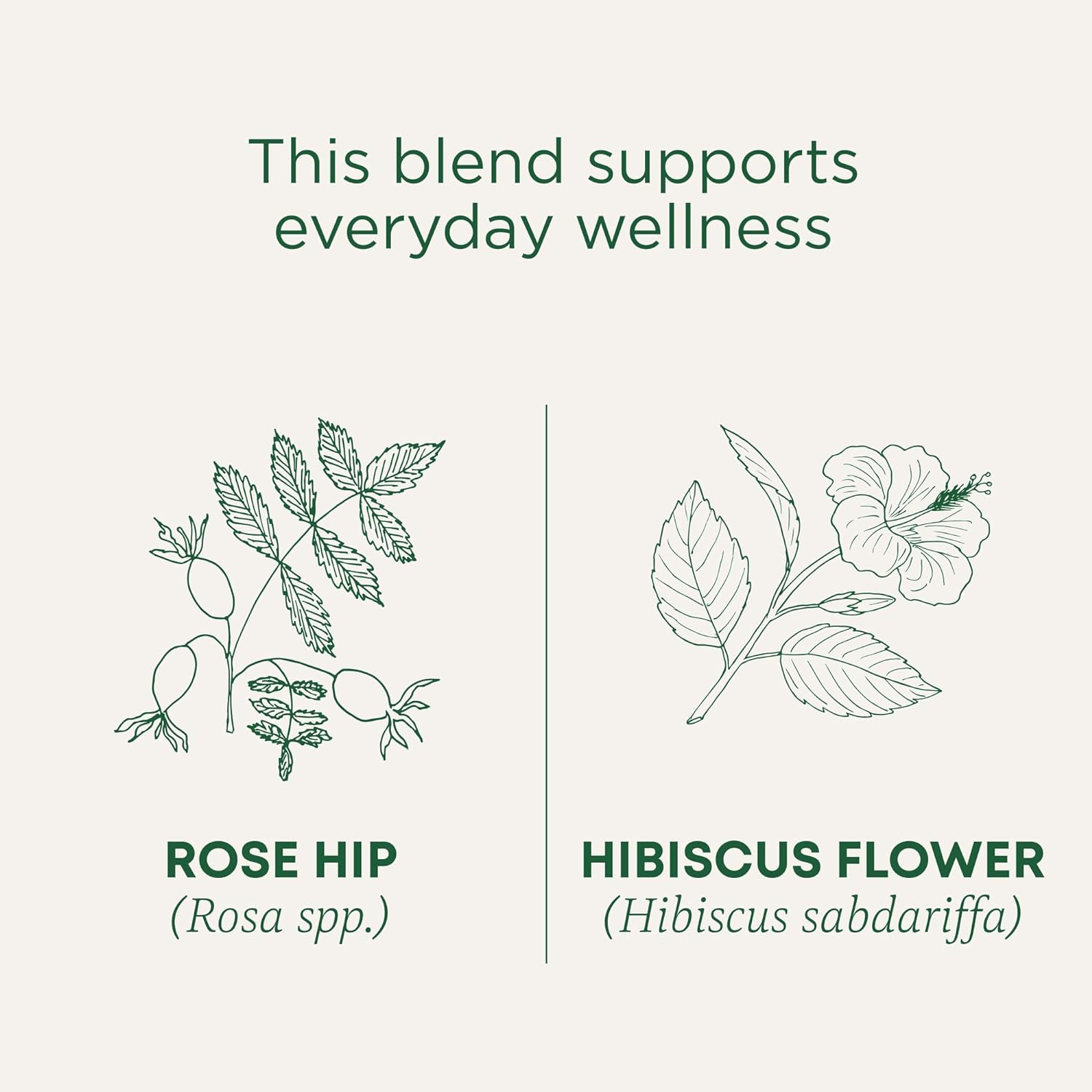 Traditional Medicinal Rose Hips With Hibiscus, 16 Teabags