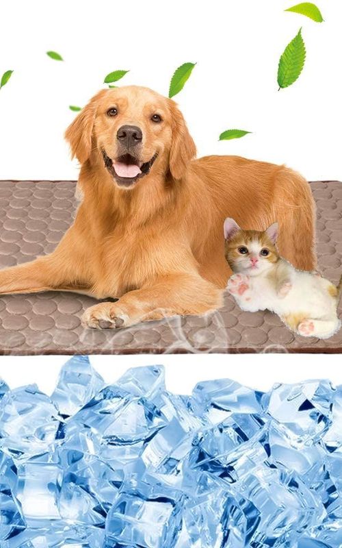 Dog Cooling Mat Sleeping Cooling Pad Washable Cool Blanket For Kennel Sofa Bed