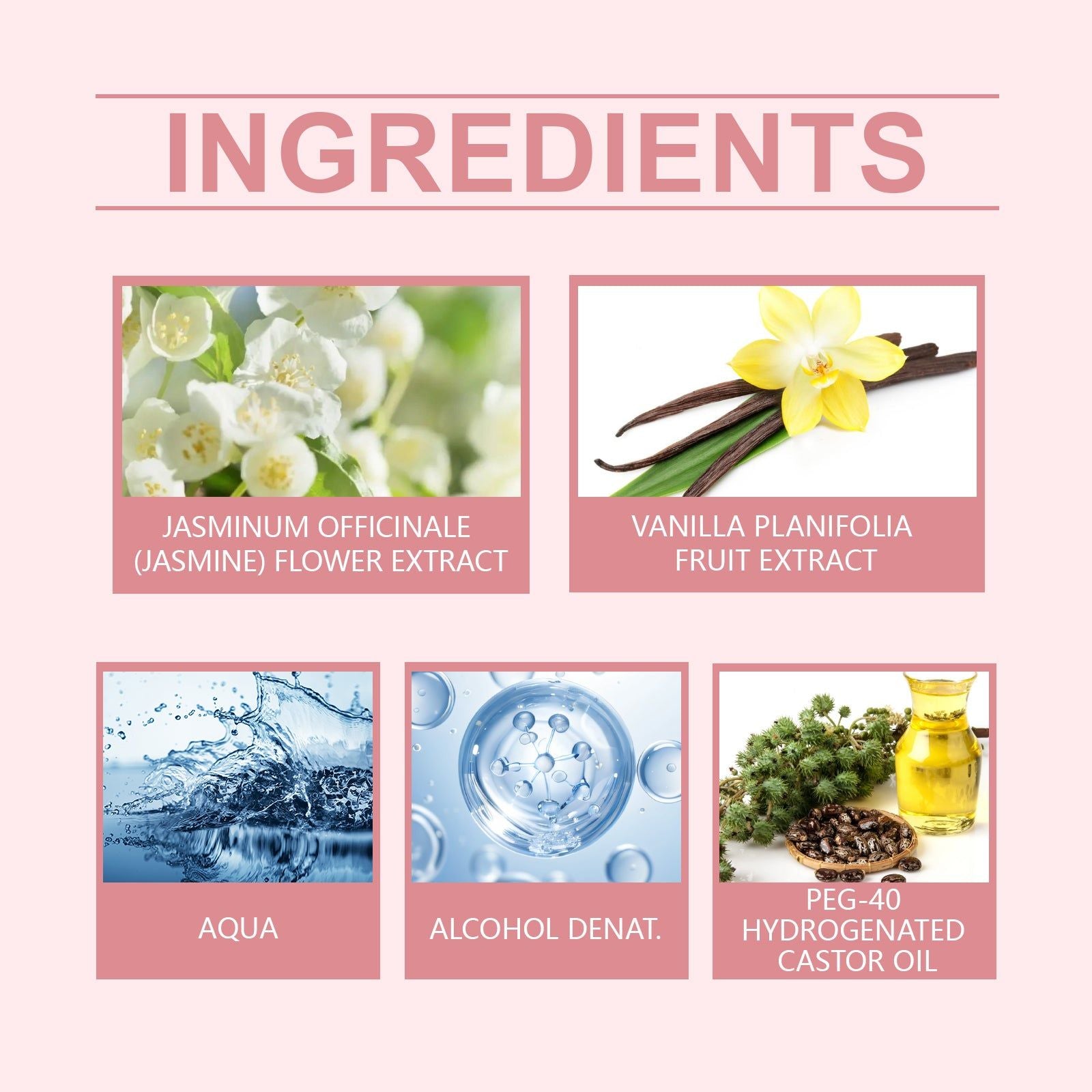 Charm Roll Perfume, Long-lasting Vanilla Jasmine Scent, Elegant & Confident ,10ml/box