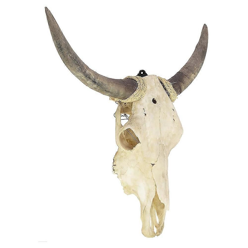 12 Packs Mount Skull Hanger, European Style Deer Head Bracket, Wall Mount for Antelope with Simple Easy Installation Kit
