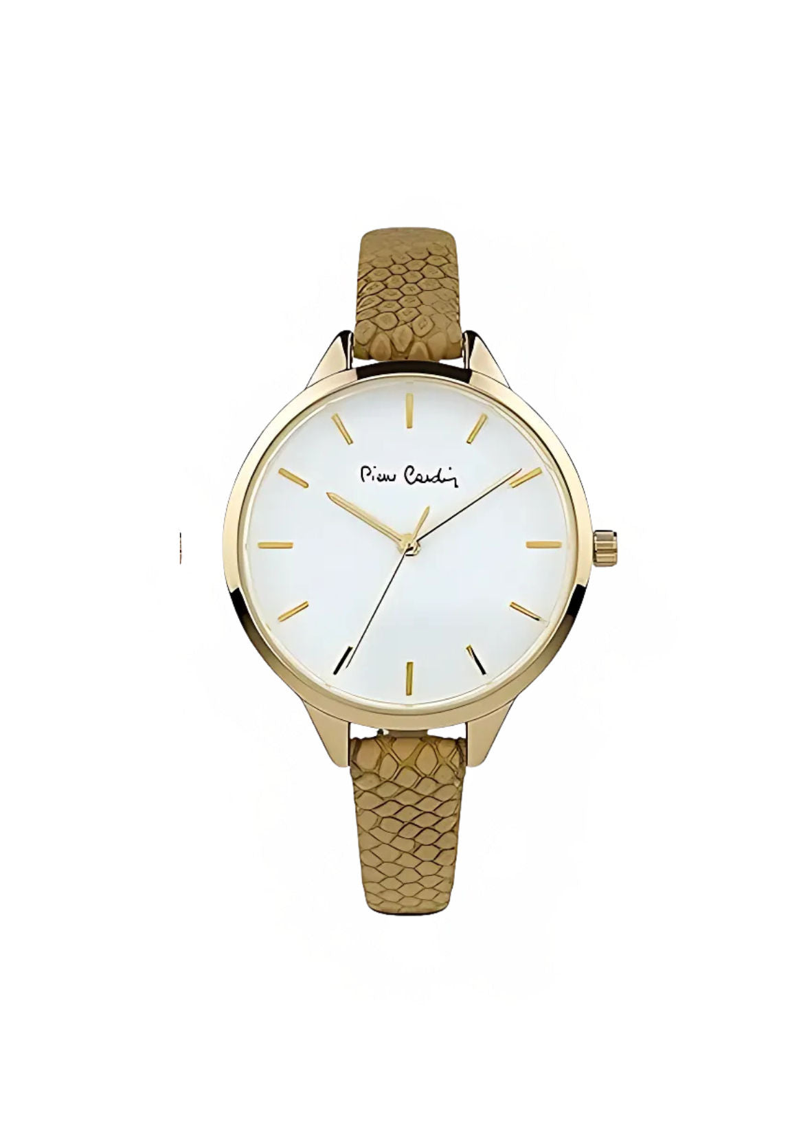 Pierre Cardin Woman Special Watch Set - PCX7967L364