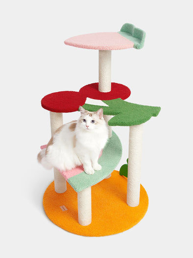 Vetreska Fruit-Shaped Cat Climber