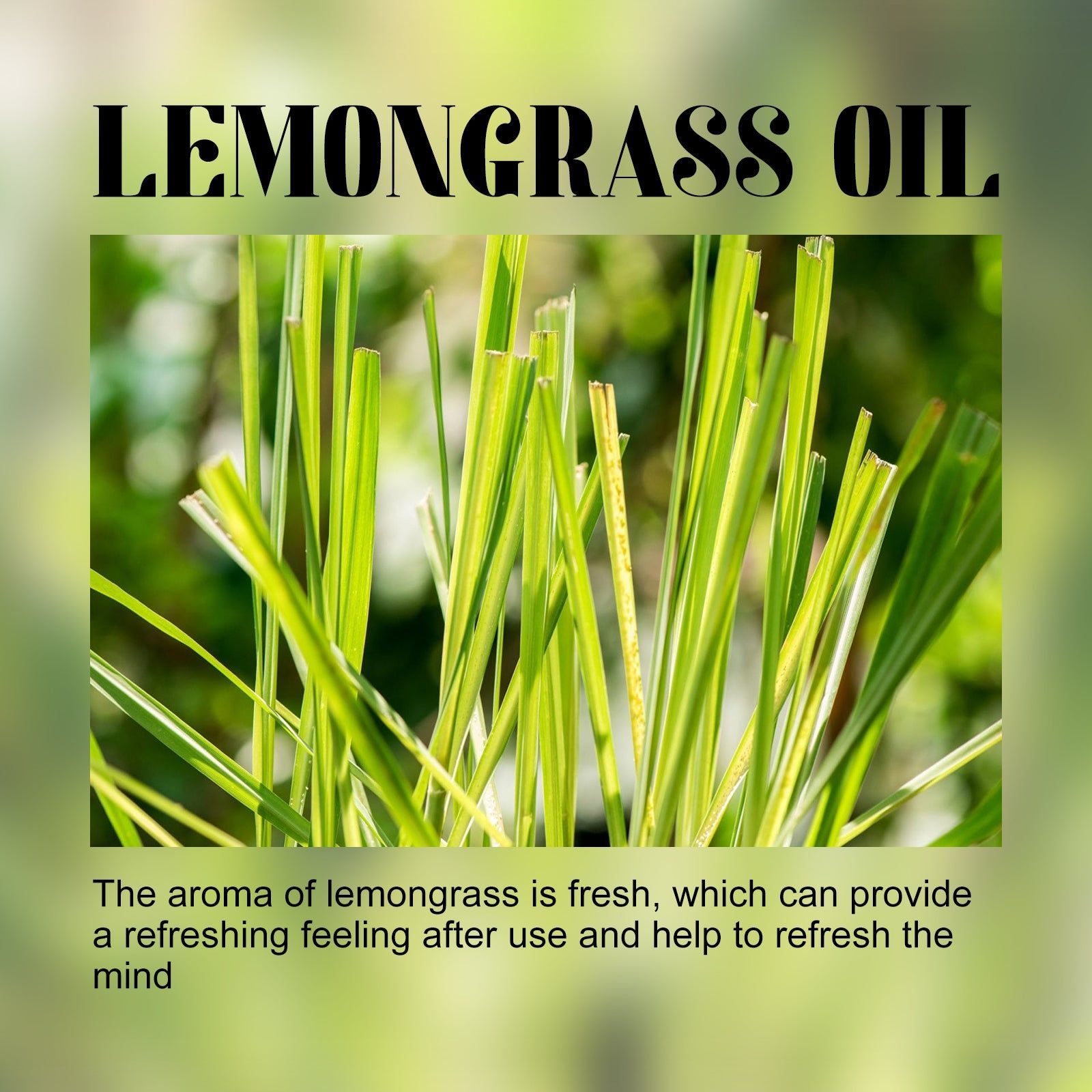 Lemongrass Essential Oil for Body Care, Moisturize, Relax, and Refresh Skin ,10ml/box