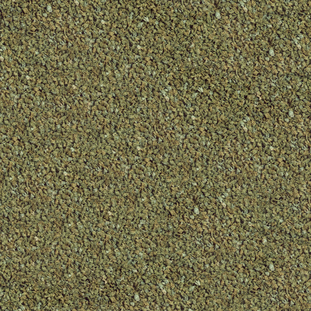 Sera Guppy Granules Food for Guppies, 100ml