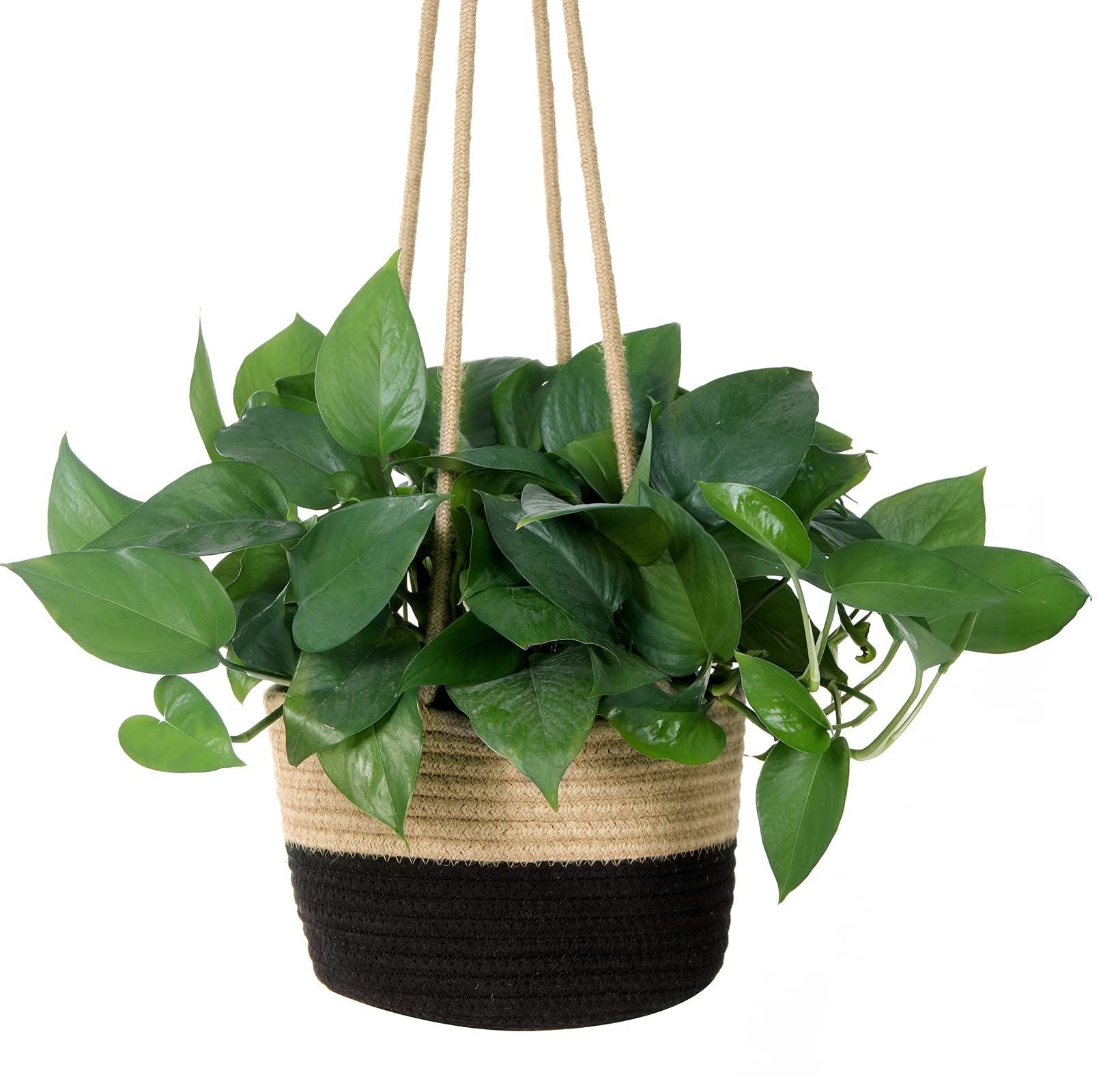 Jute Rope Woven Indoor Plant Hanging Holder For Decor