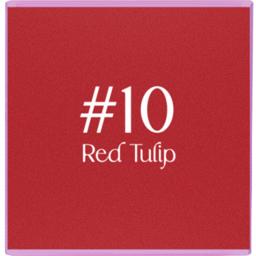 Flora Moist to Matte Lip 3g Baby Bright (M) #10 Red Tulip