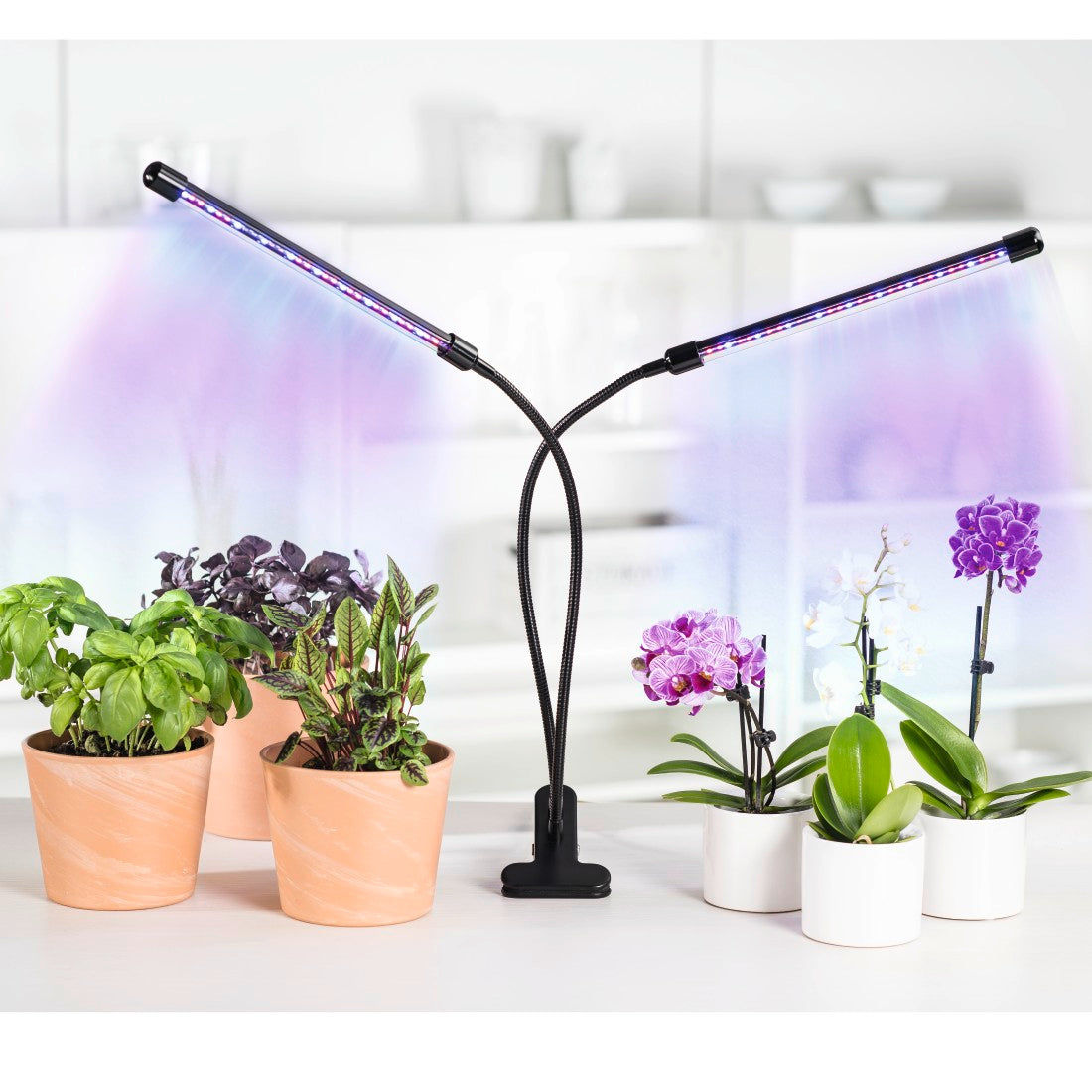 XAVAX 112697 "Stick" LED Plant Lamp