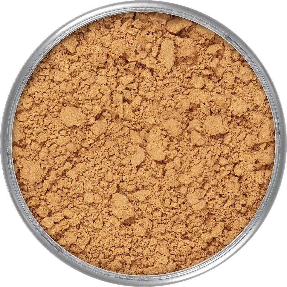 Translucent Powder 20g