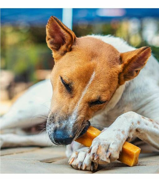 Dogsee Medium Bars: Long-lasting Dental Chews for Medium Dogs -140g