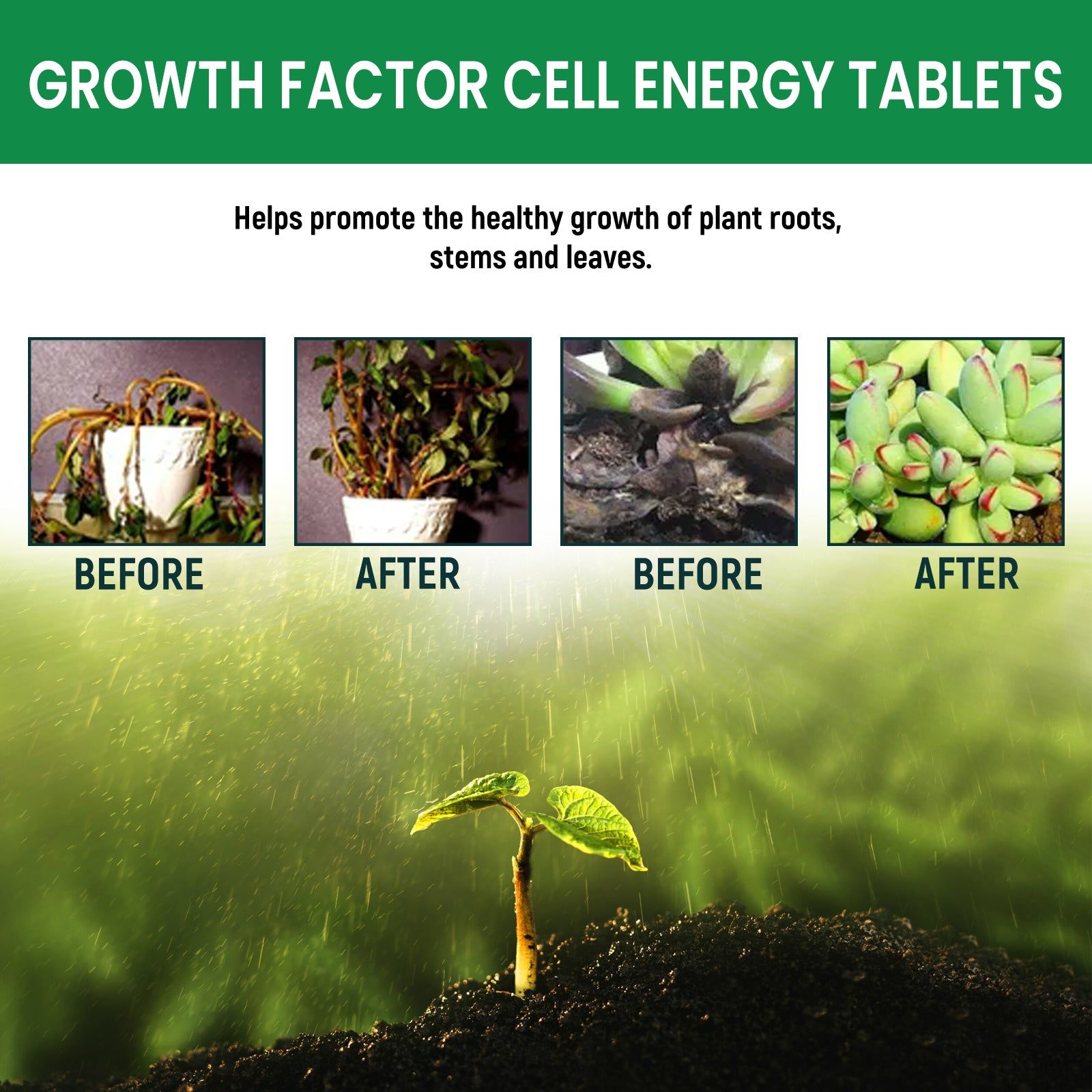 Boost Plant Growth with Nutrient Tablets, Fast-Acting, Eco-Friendly, Easy to Use ,22pcs