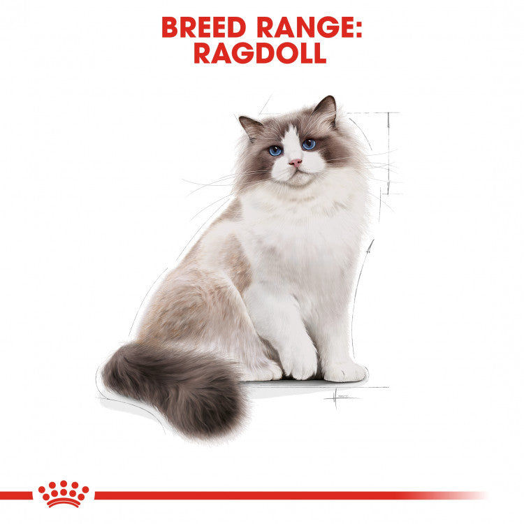 Royal Canin Feline Breed Nutrition (Ragdoll Adult) - 2kg