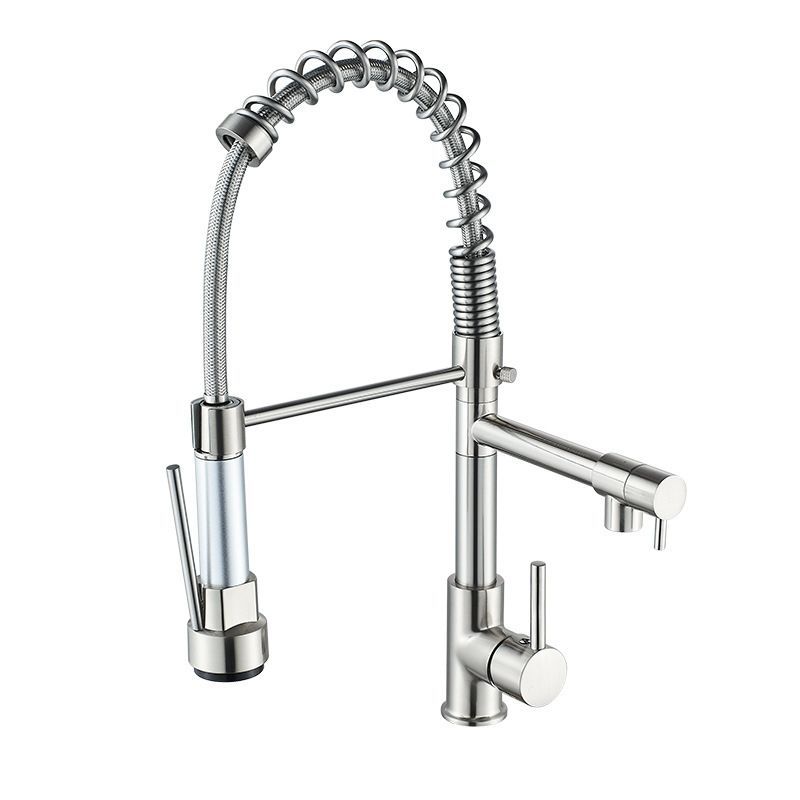 Kitchen Rotatable Spring Faucet , Specification: Brushed Brushed Silver